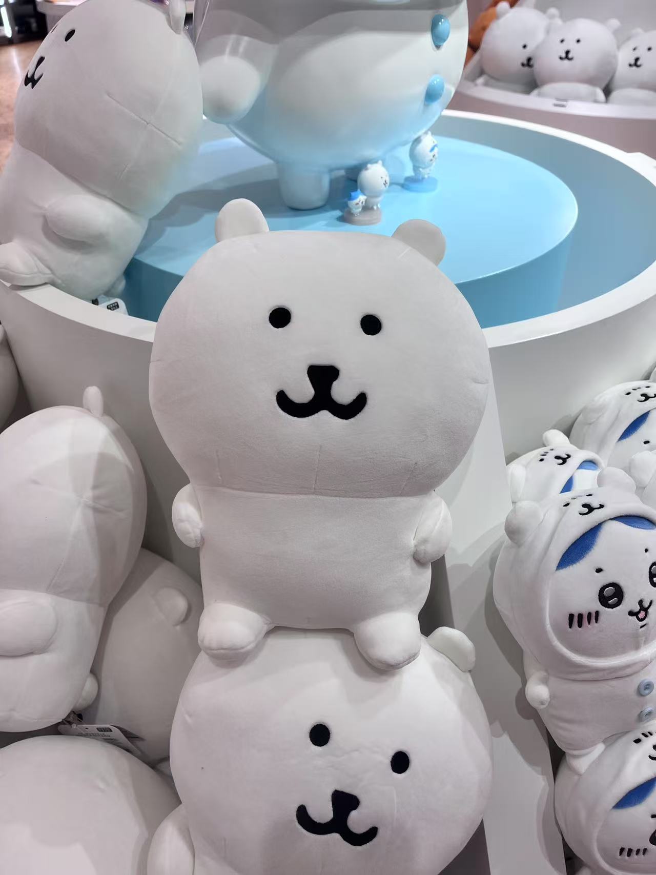 自嘲熊白熊