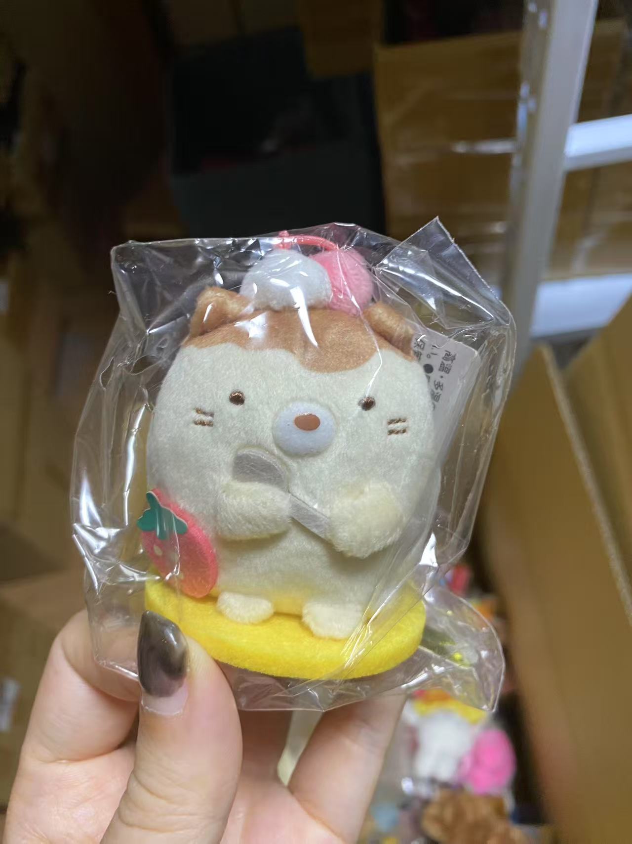名古屋黄猫