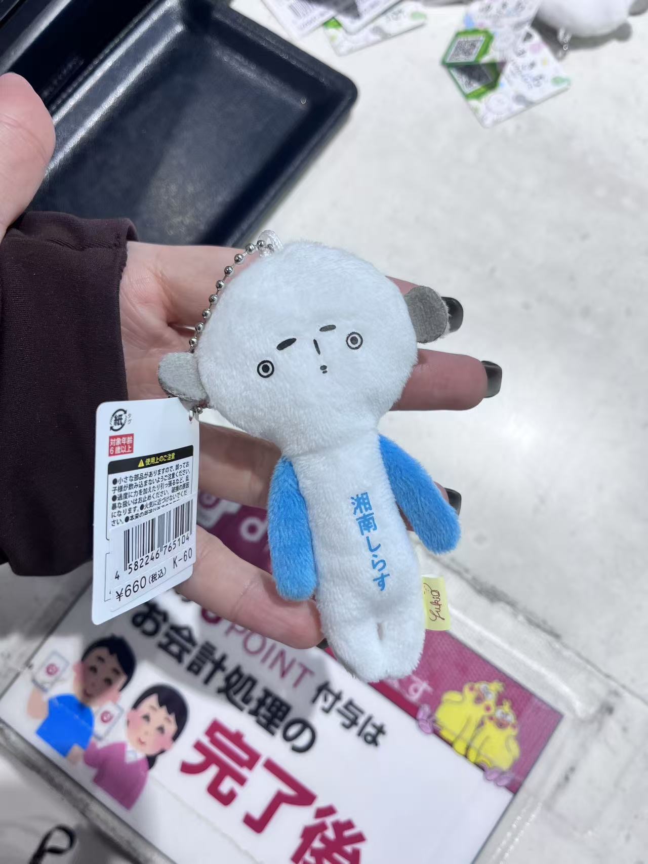 湘南小银鱼 白色