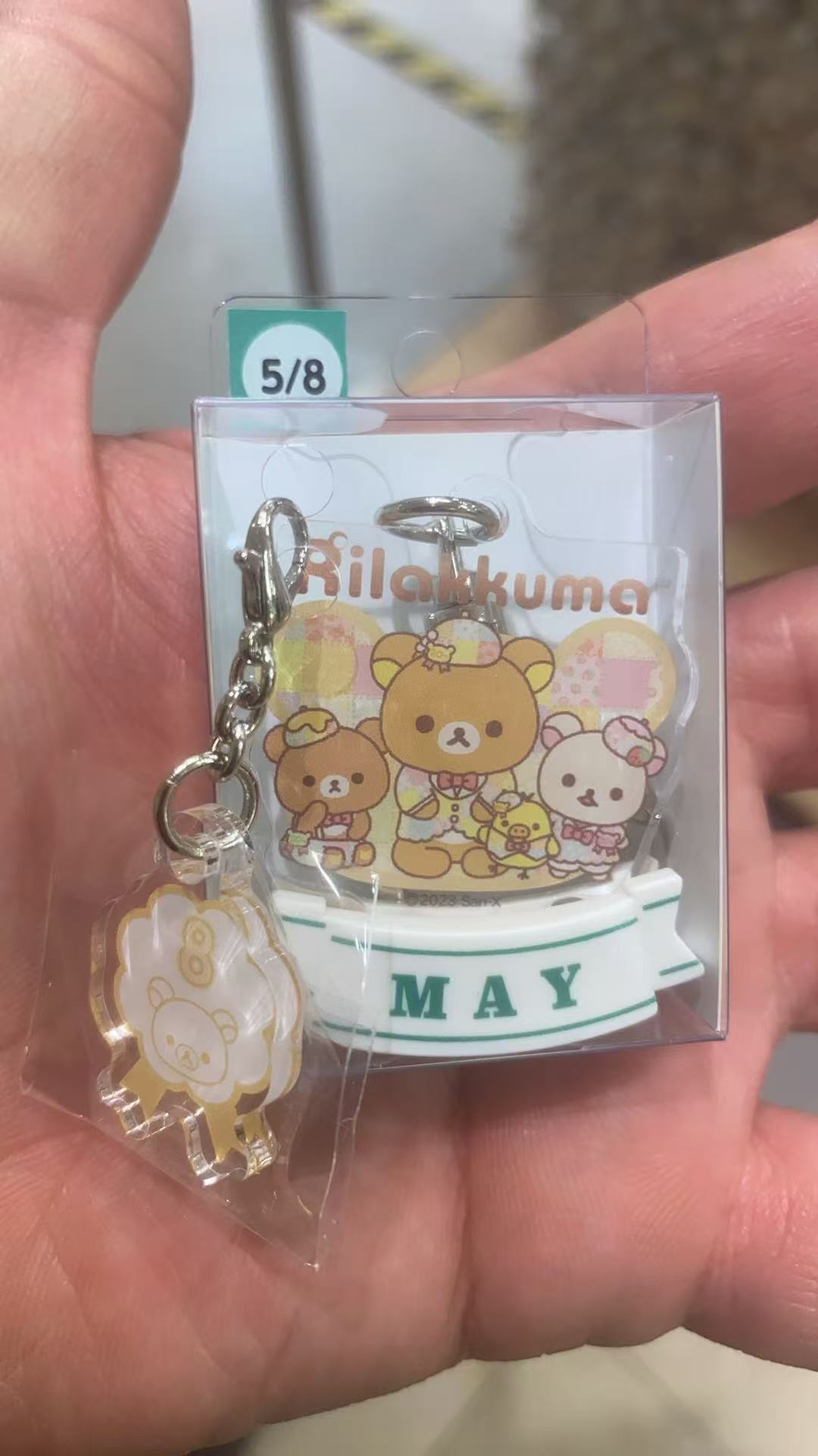大阪 生日牌 5/8