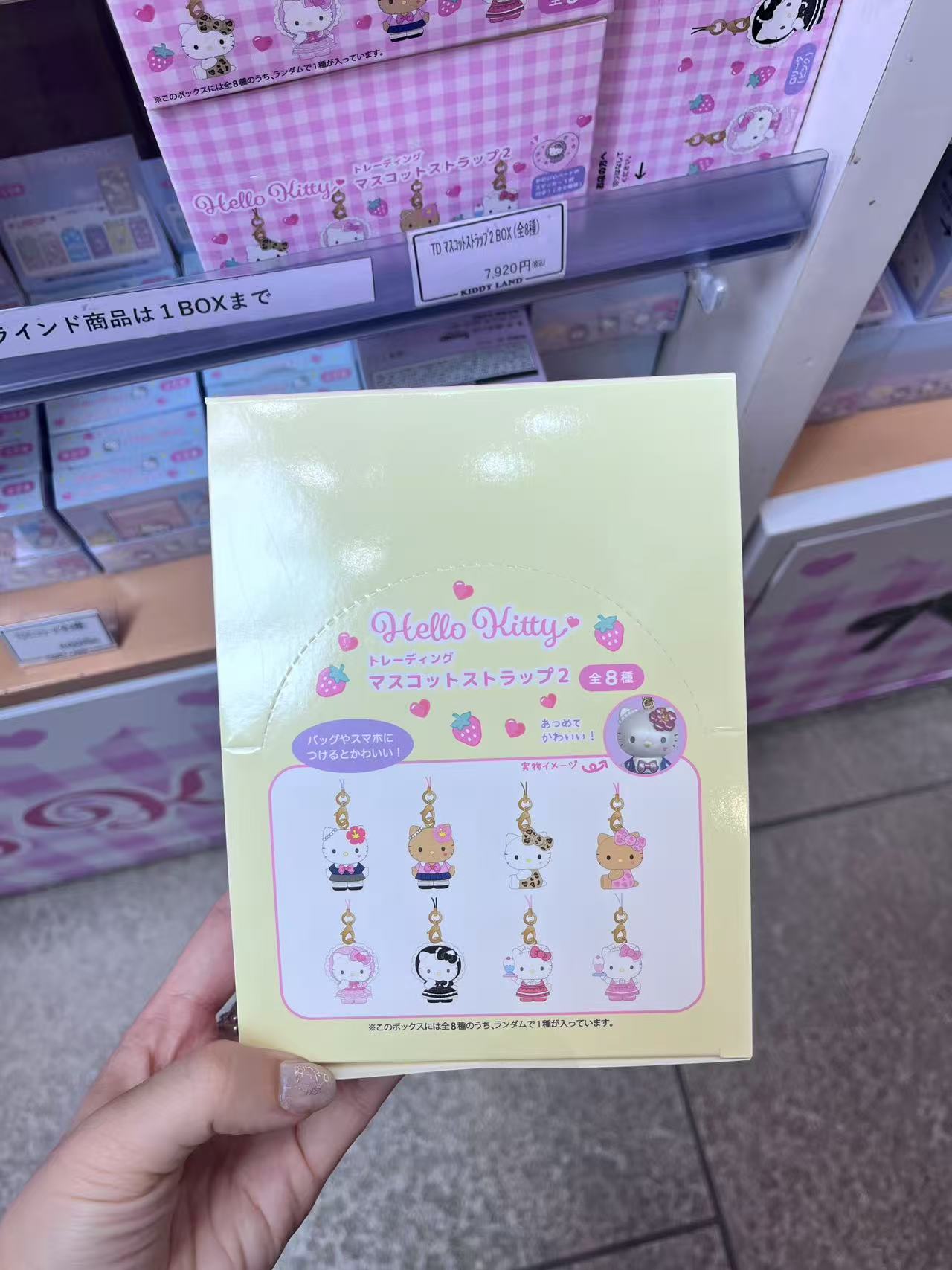 三丽欧盲盒  端盒一套 客定