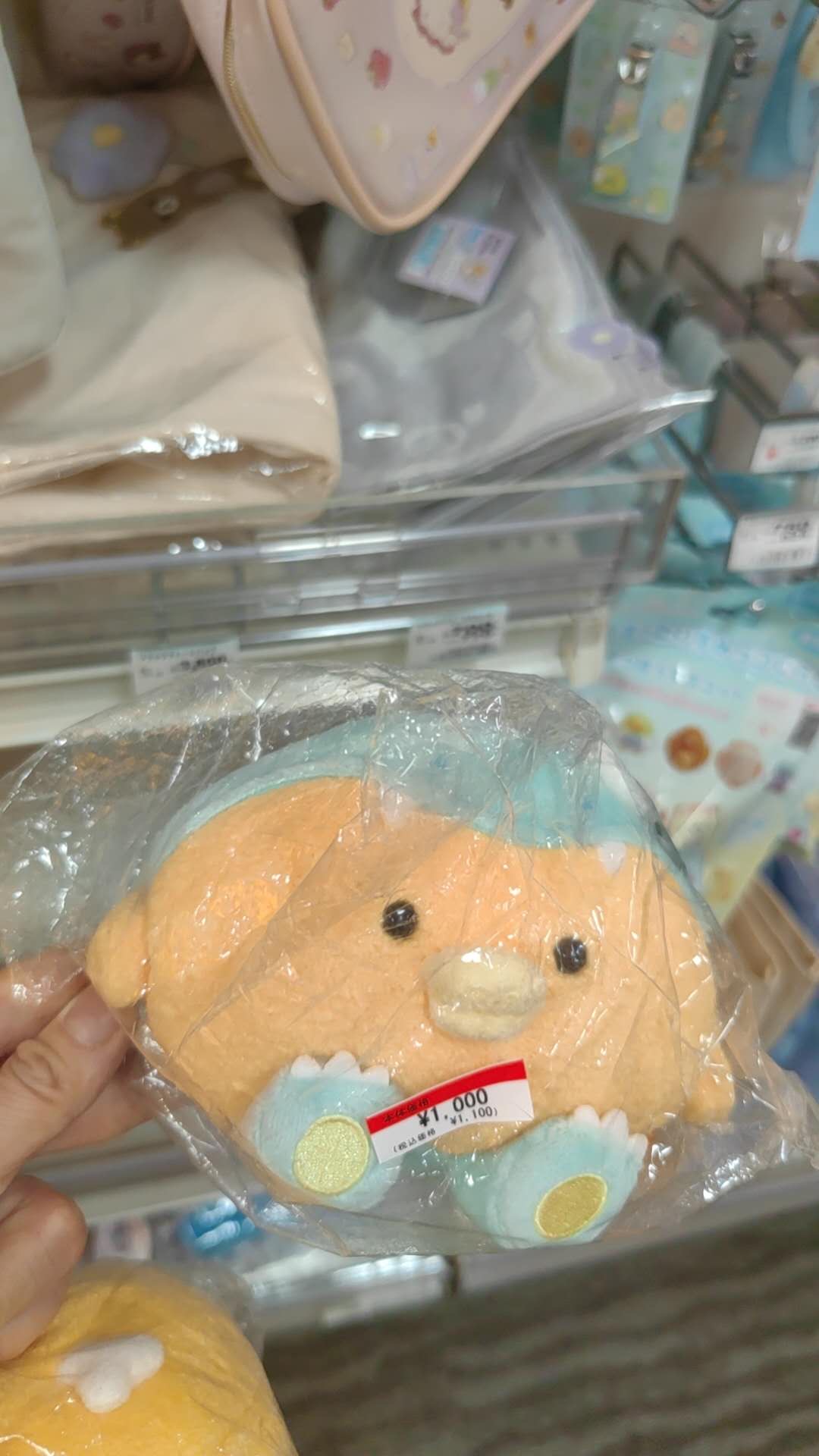 青色毛帽子 小黄鸡  