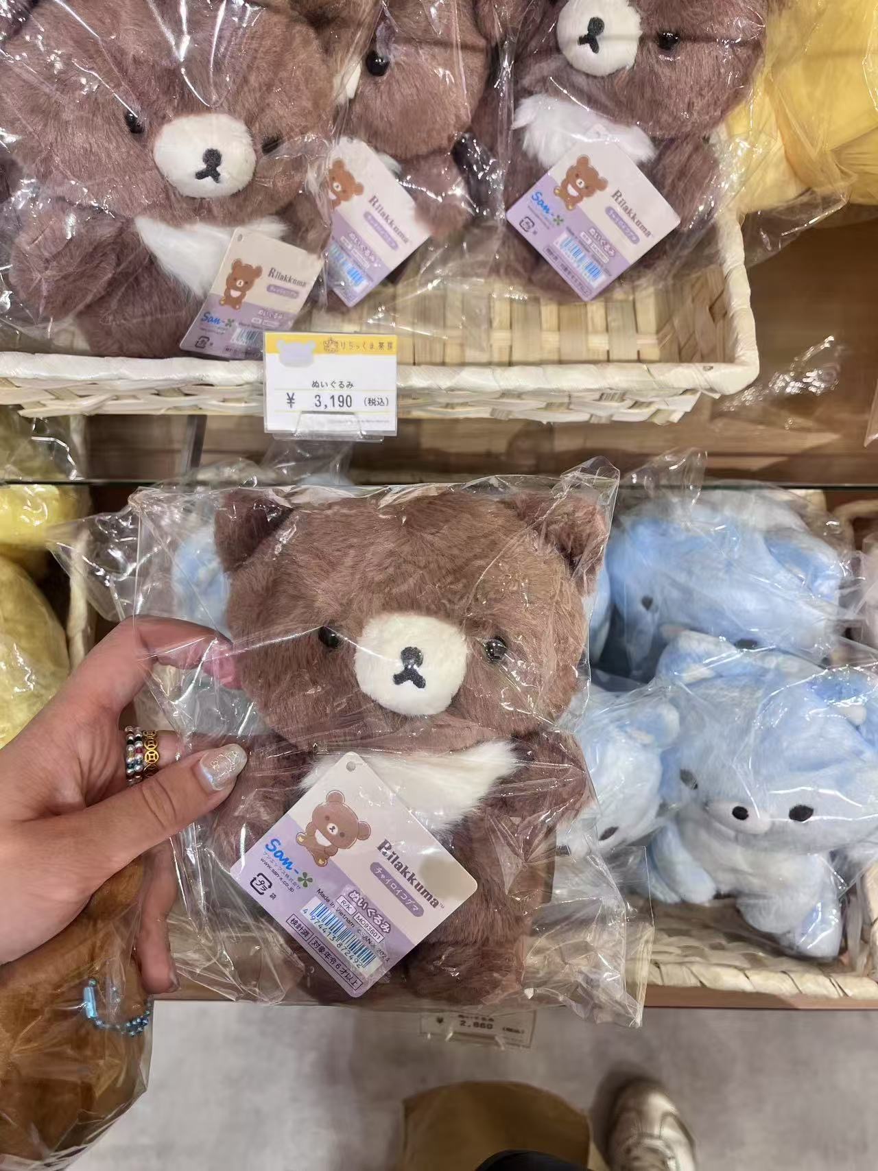 轻松熊 熊弟