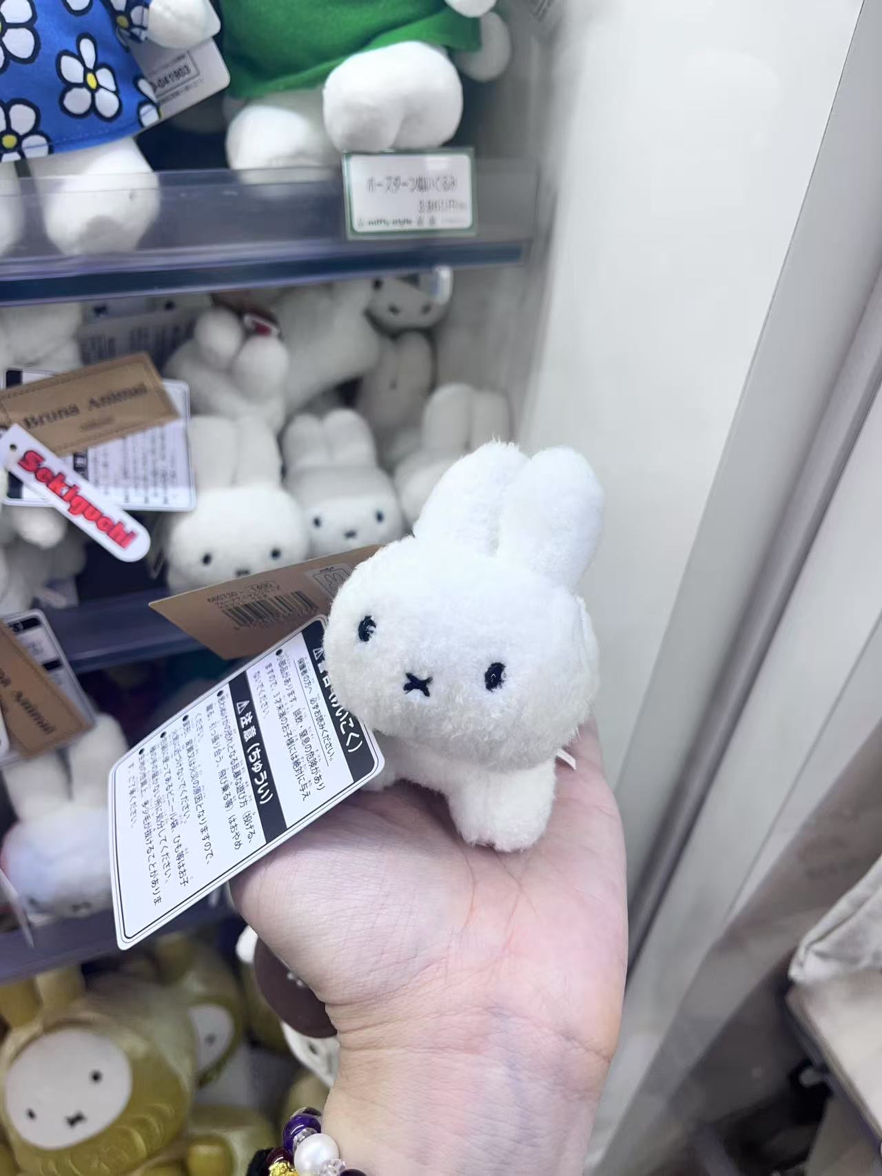 米菲 趴趴兔