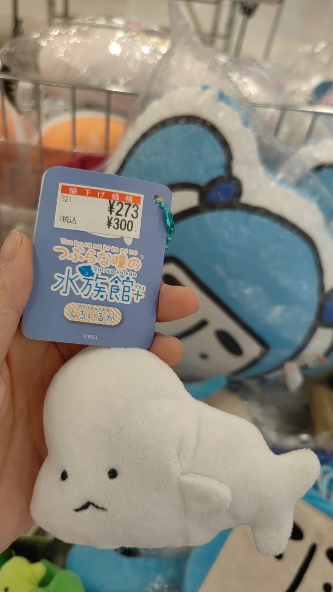 白色小海豹 半价
