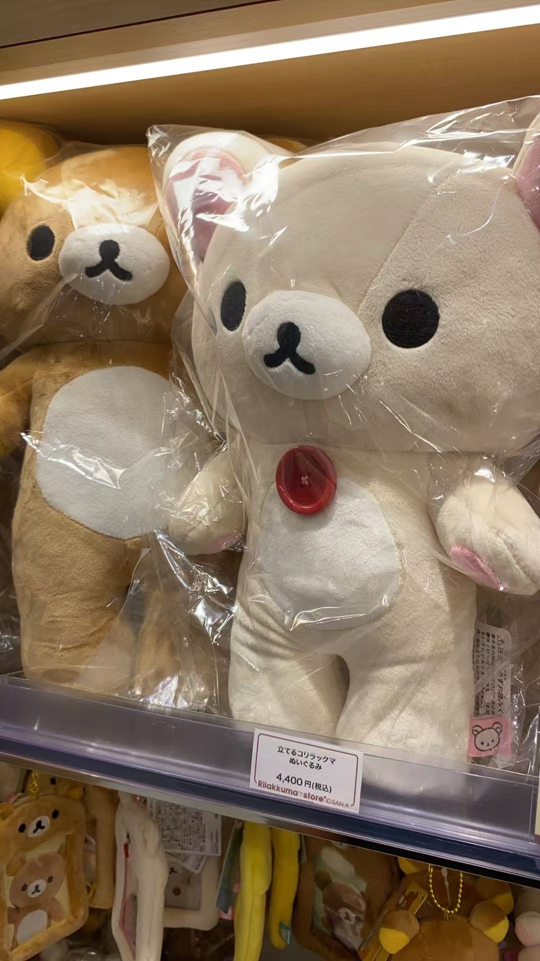0830 站立熊妹 大尺寸