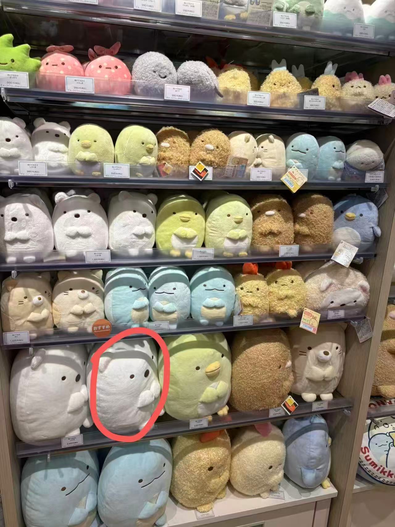 0918 角落生物 白熊 玩偶