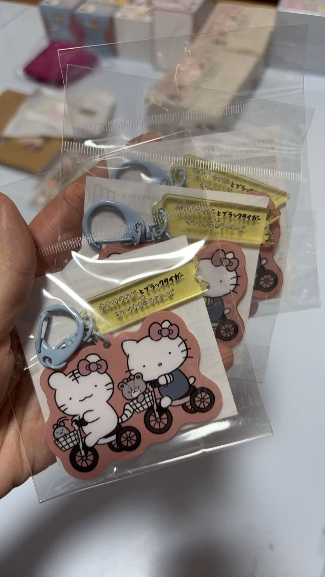 1018 三丽鸥 kt和朋友一起骑车 挂件