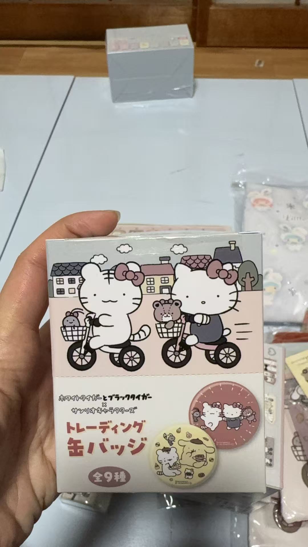 1018 三丽鸥 kt和她的朋友 罐装徽章全套9种