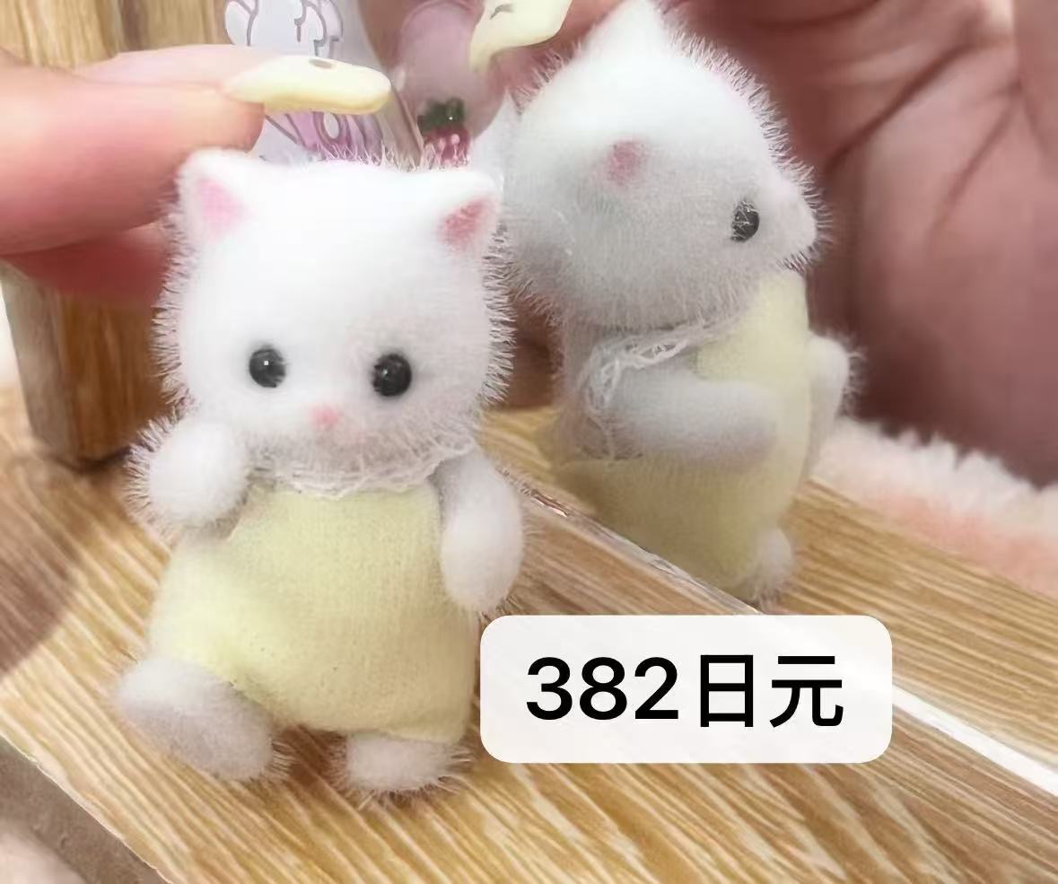 1030森贝儿波斯猫特价