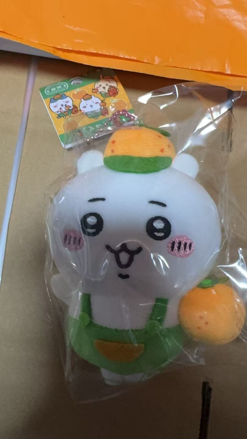 1120 CKW 橘子 吉伊 毛绒挂件 能拍就有