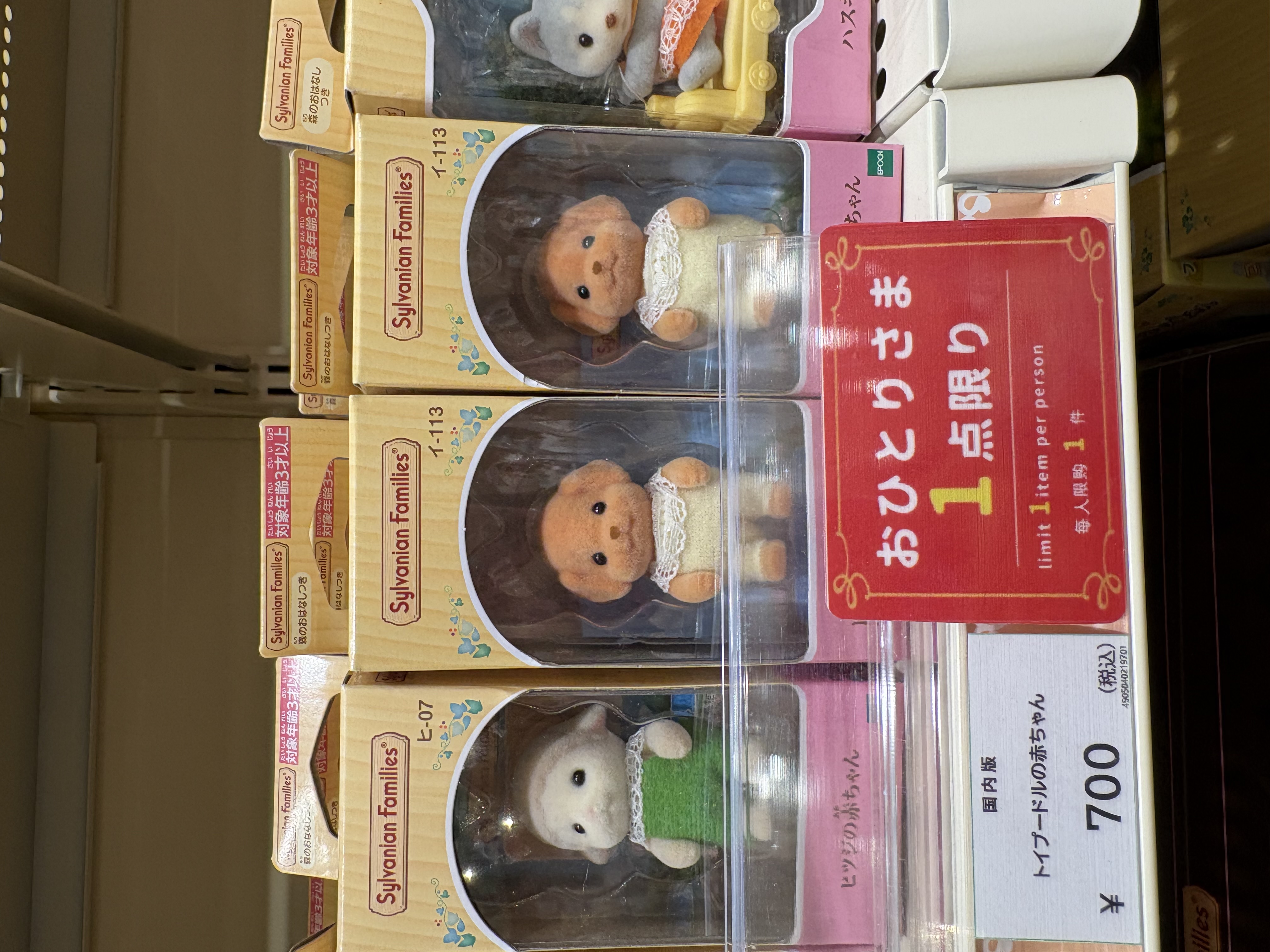 1201森贝儿贵宾狗