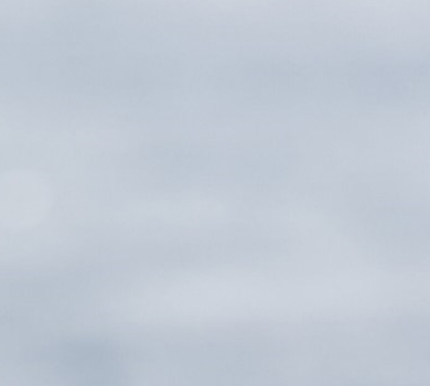 竞拍测试5 请勿拍 