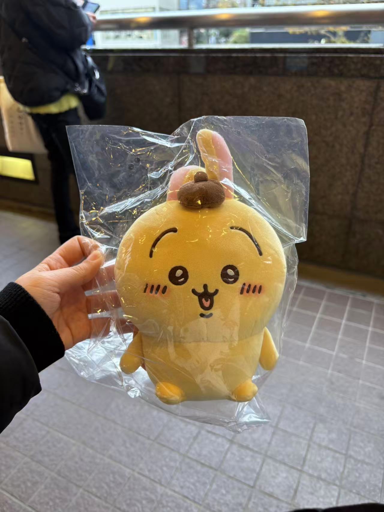 1214 CKW三丽鸥联名 布丁狗乌萨奇毛绒玩偶