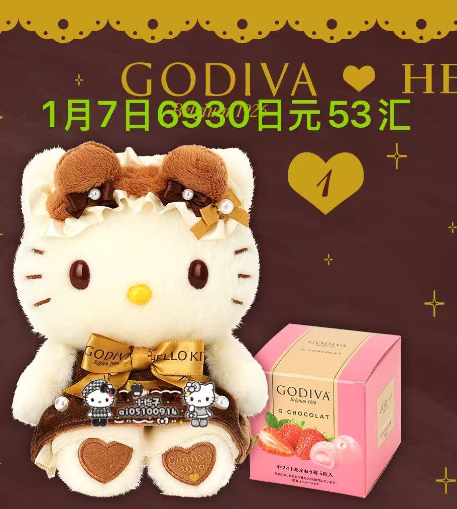 0107 三丽欧歌帝梵联名 Kt公仔 