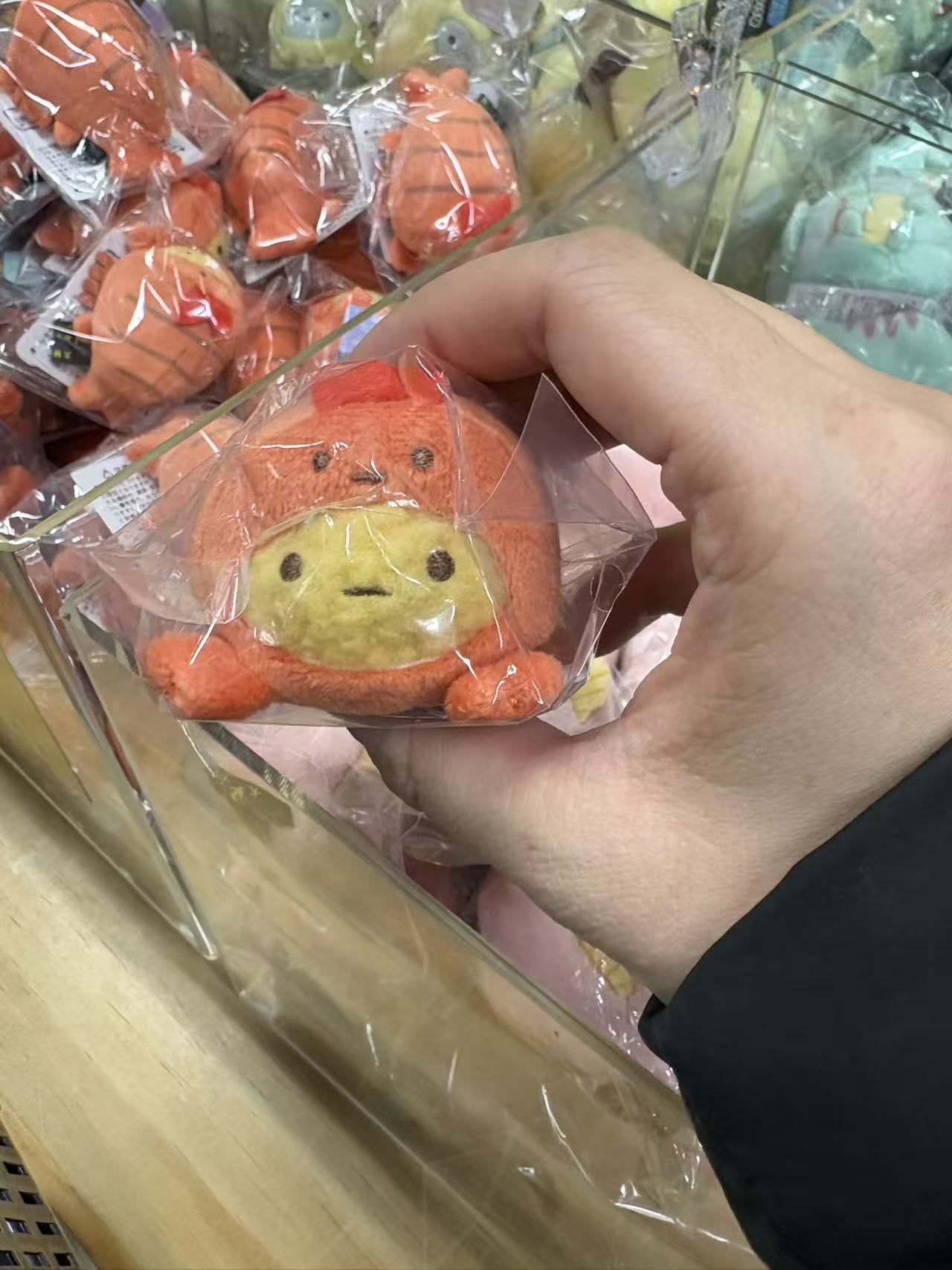 0113 角落小伙伴 金鱼炸虾 手玉 门票自理