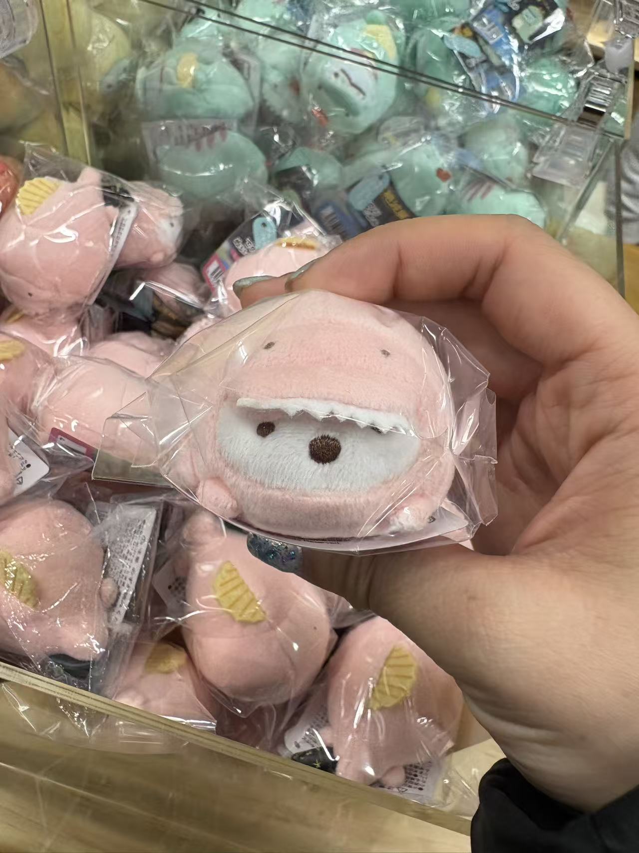 0113 角落小伙伴 蝾螈白熊 手玉 门票自理