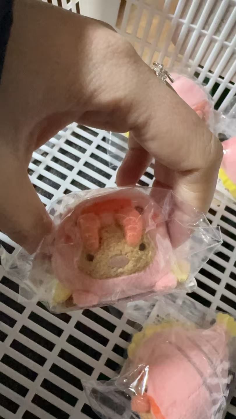 0116 角落生物 寿司猪排手玉 毛绒玩偶