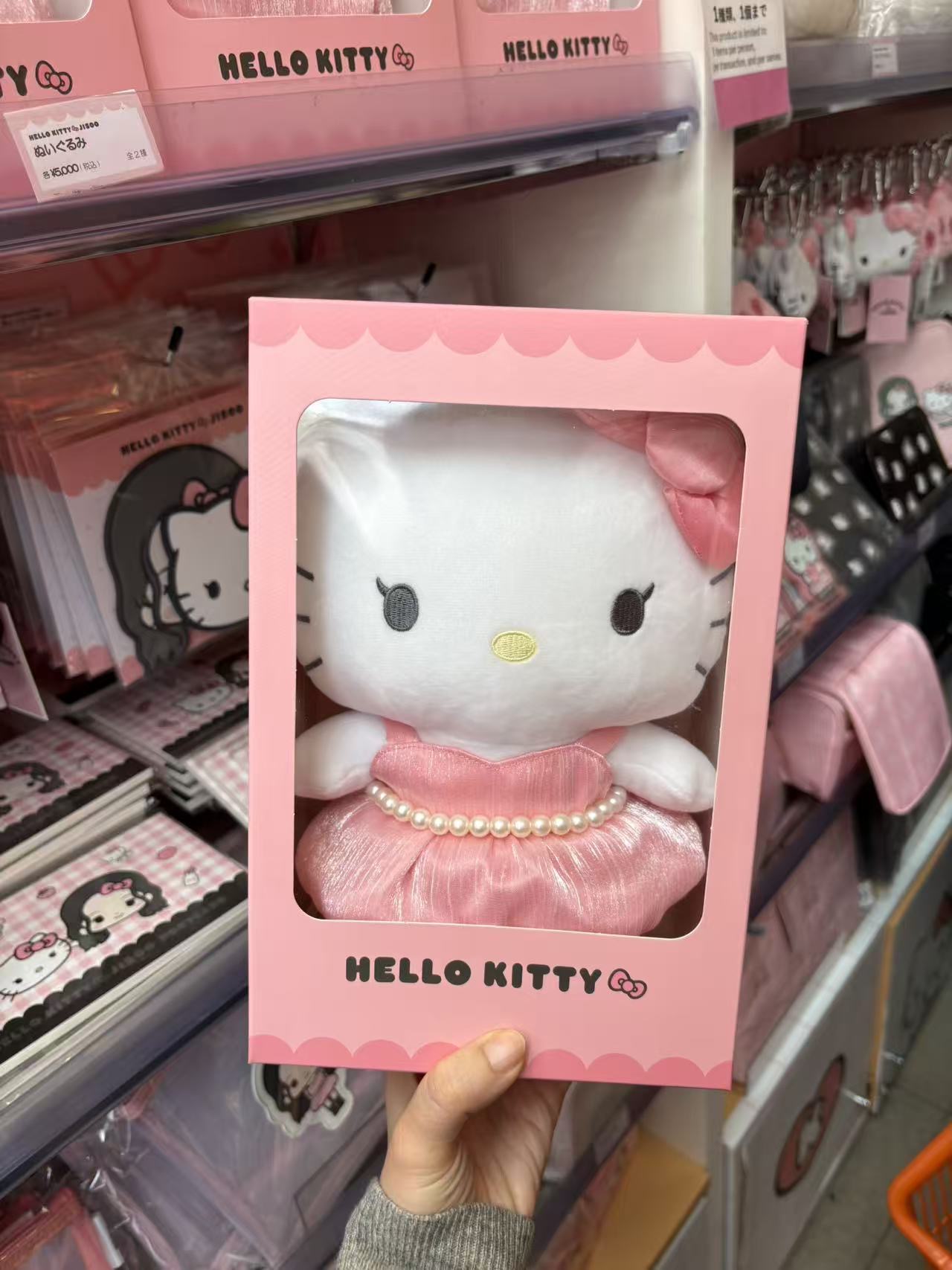 0227 三丽鸥 JISOO与kt2026年限定联名款毛绒公仔