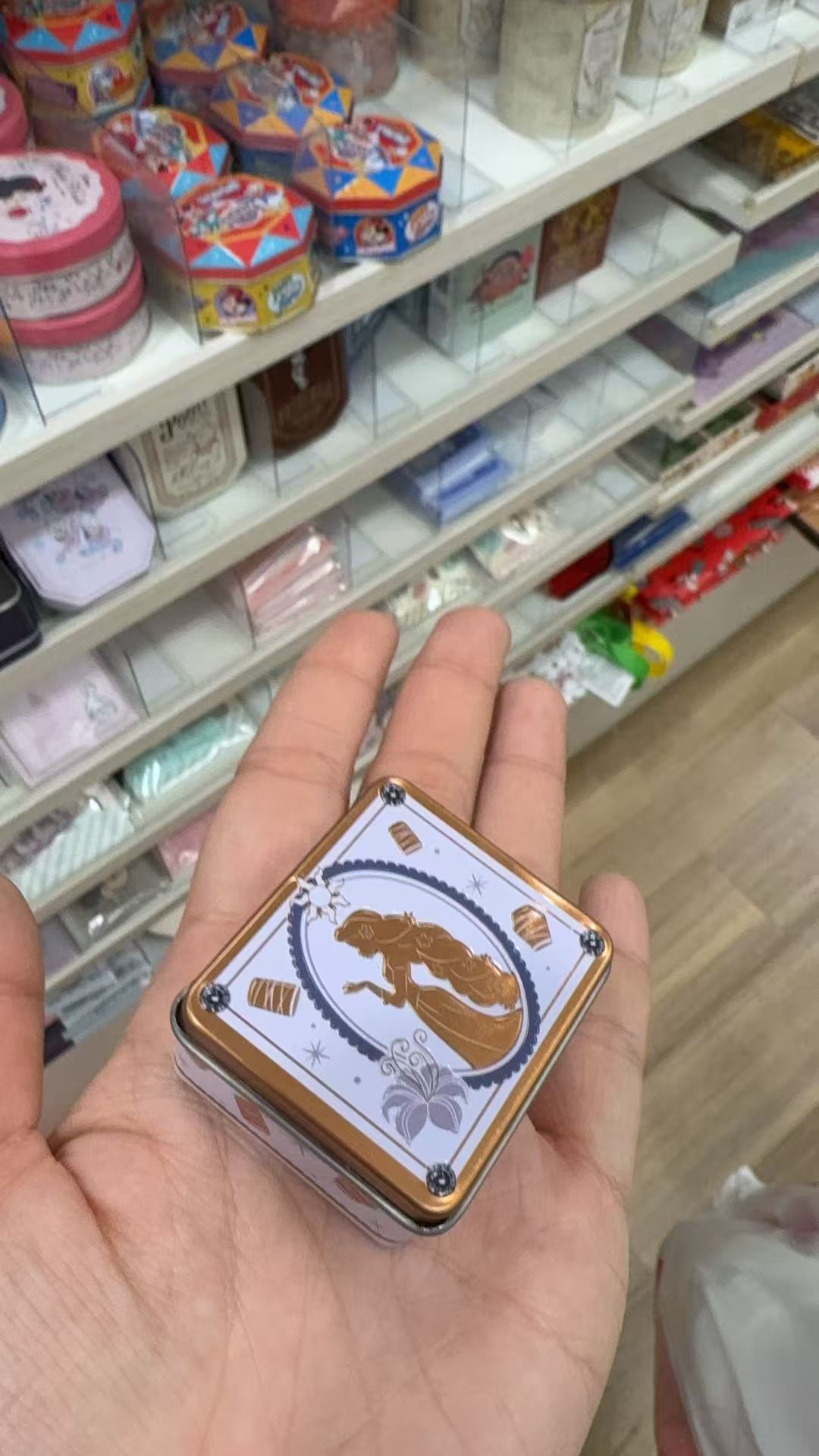 0301 百元店 《魔发奇缘》乐佩公主迷你马口铁收纳盒