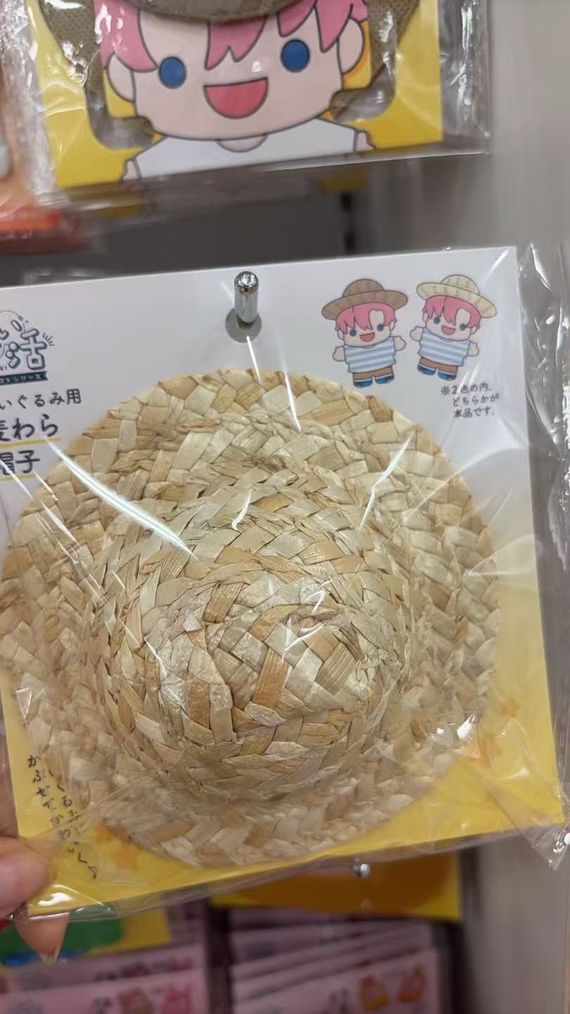 0301 百元店 mini草帽