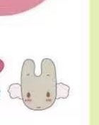 0306 茉莉兔毛绒发圈 5汇