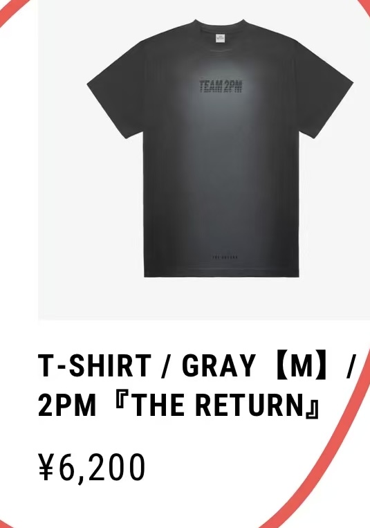 0405 2PM日本出道15周年纪念演唱会官方周边T恤M码48汇