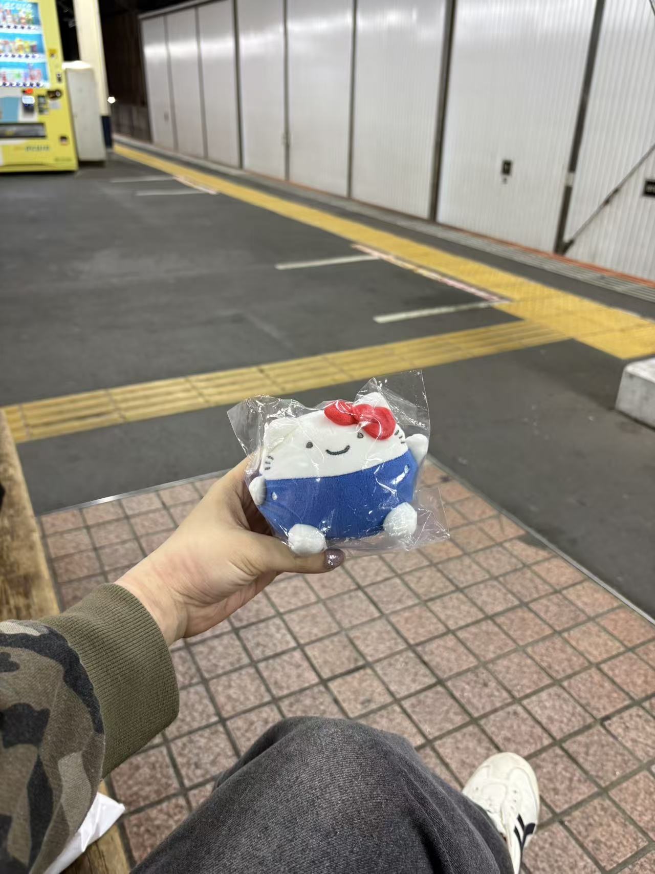 5汇0403 三丽鸥  Hello Kitty 丑萌系列圆滚滚毛绒玩偶