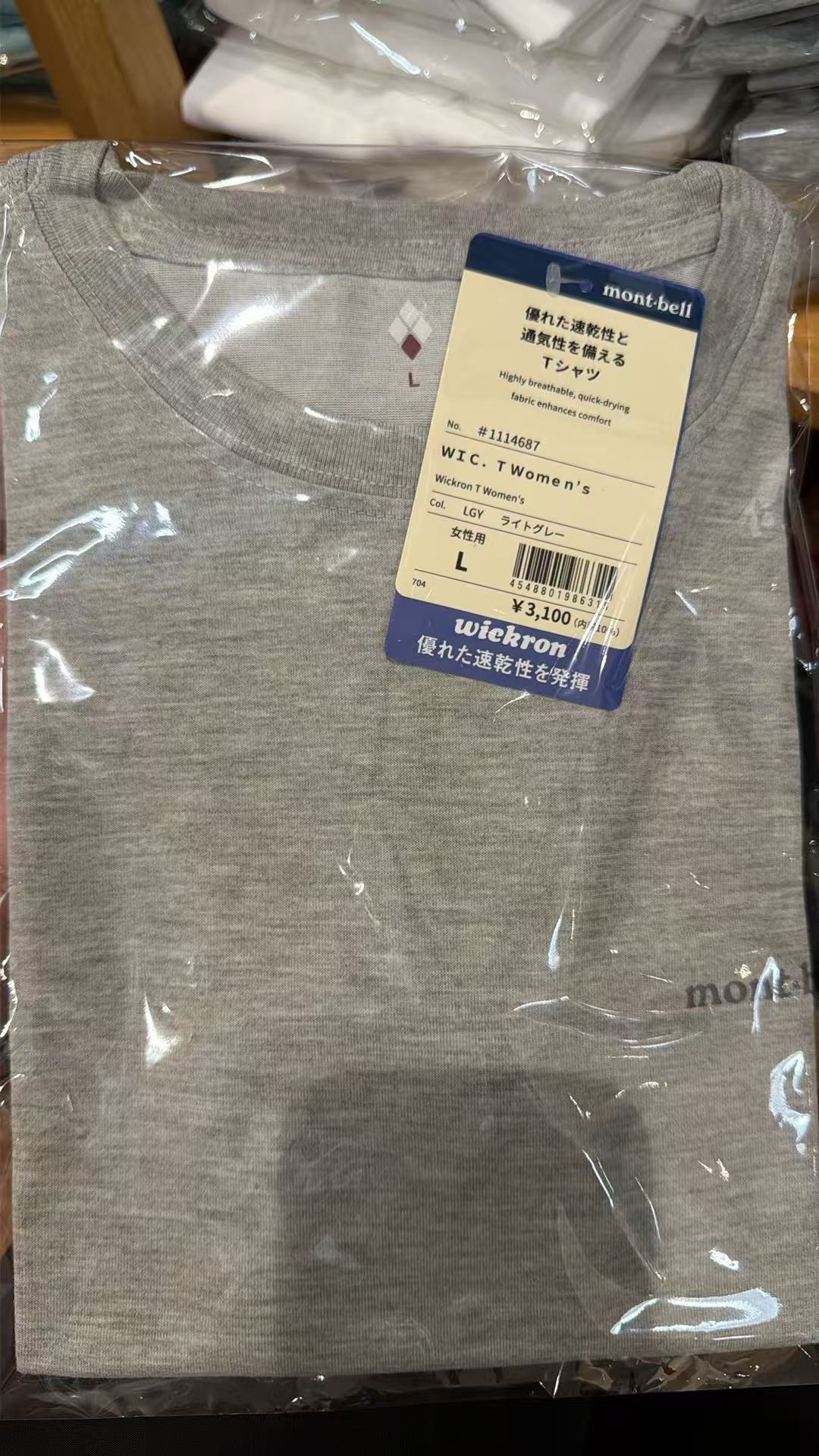 0416 美山灰色女士半袖L 