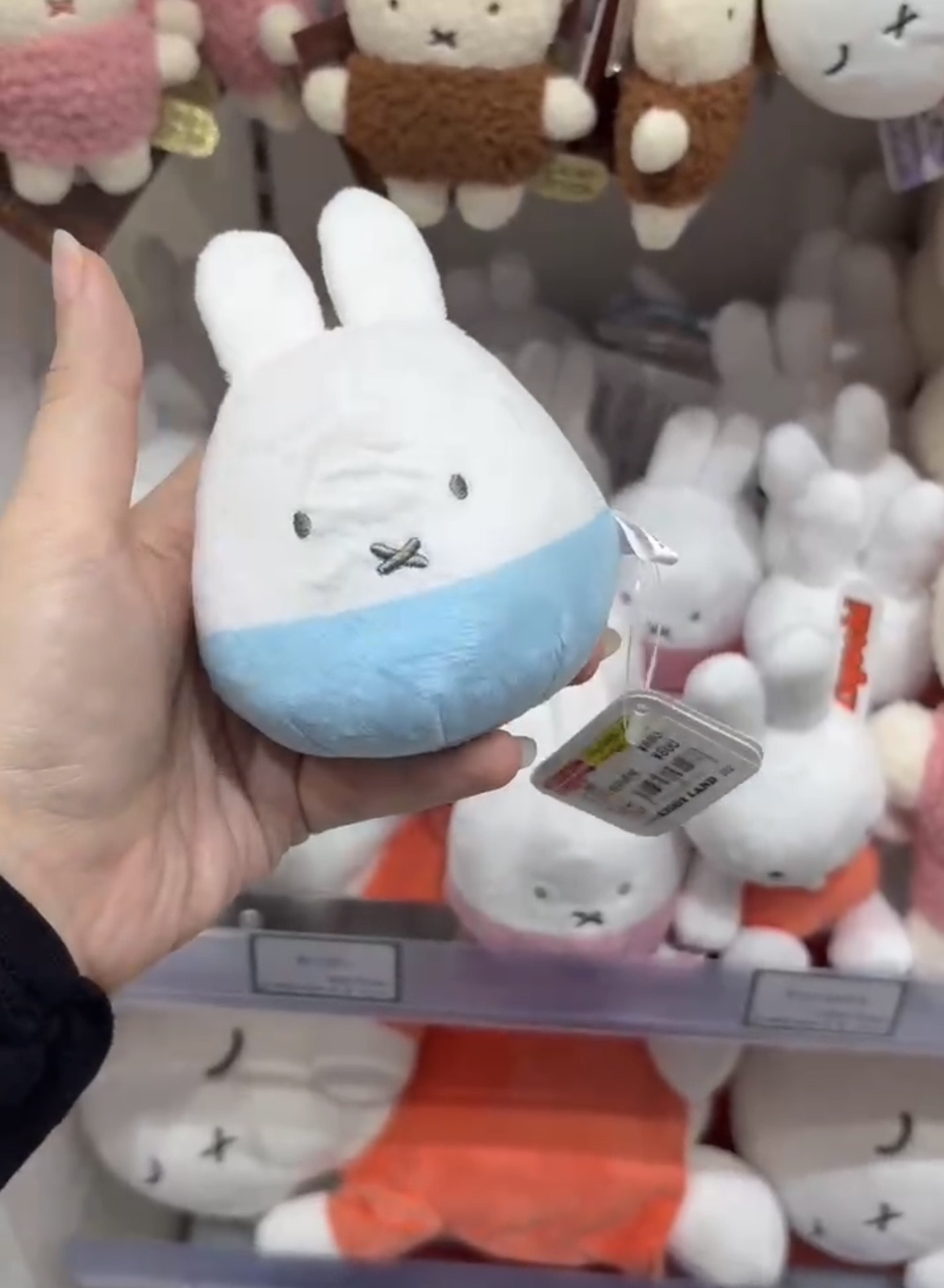 0424 米菲（Miffy）不倒翁毛绒公仔蓝色