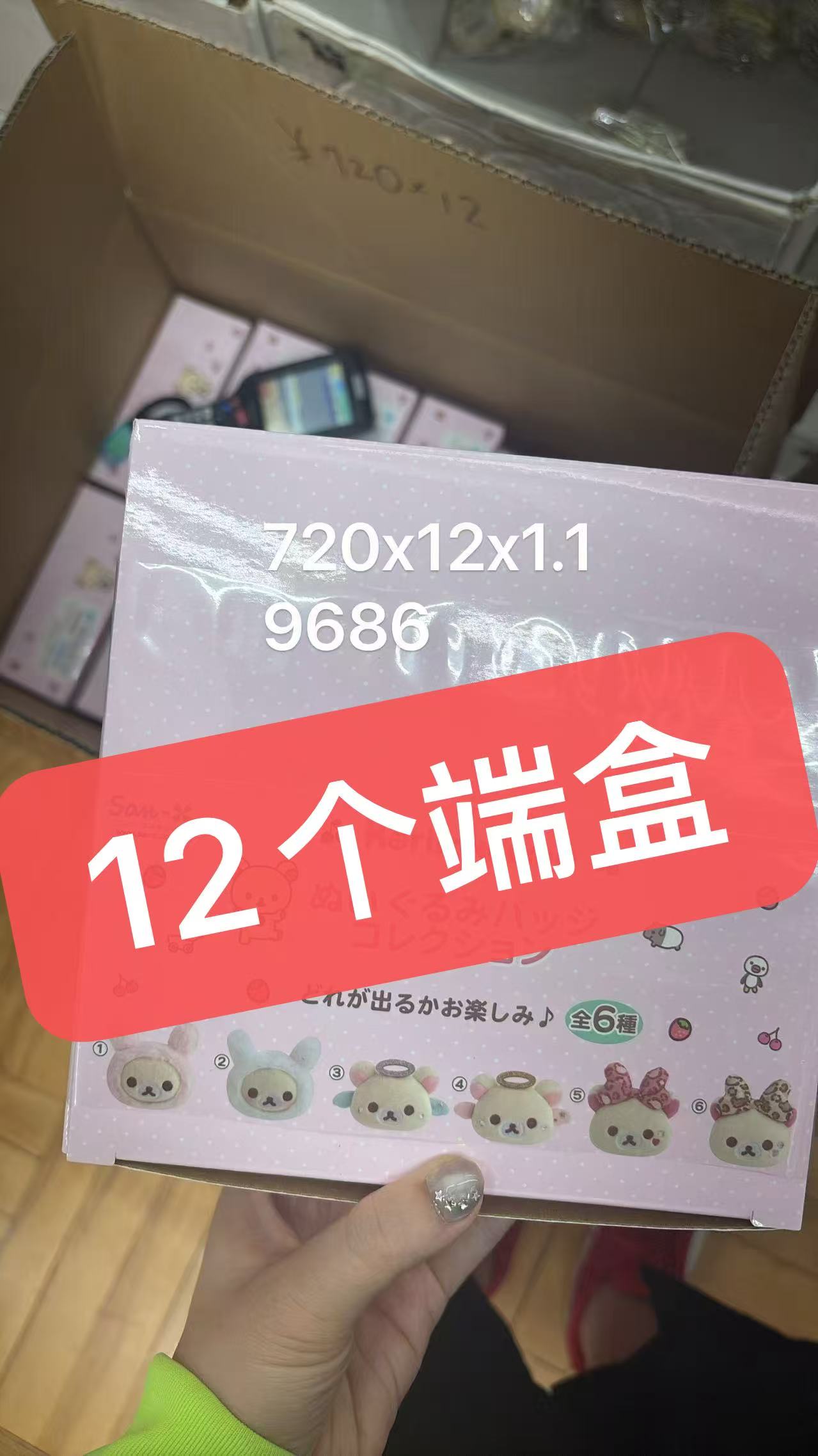 0512 折扣店 轻松熊 毛绒徽章收藏系列 12个端盒