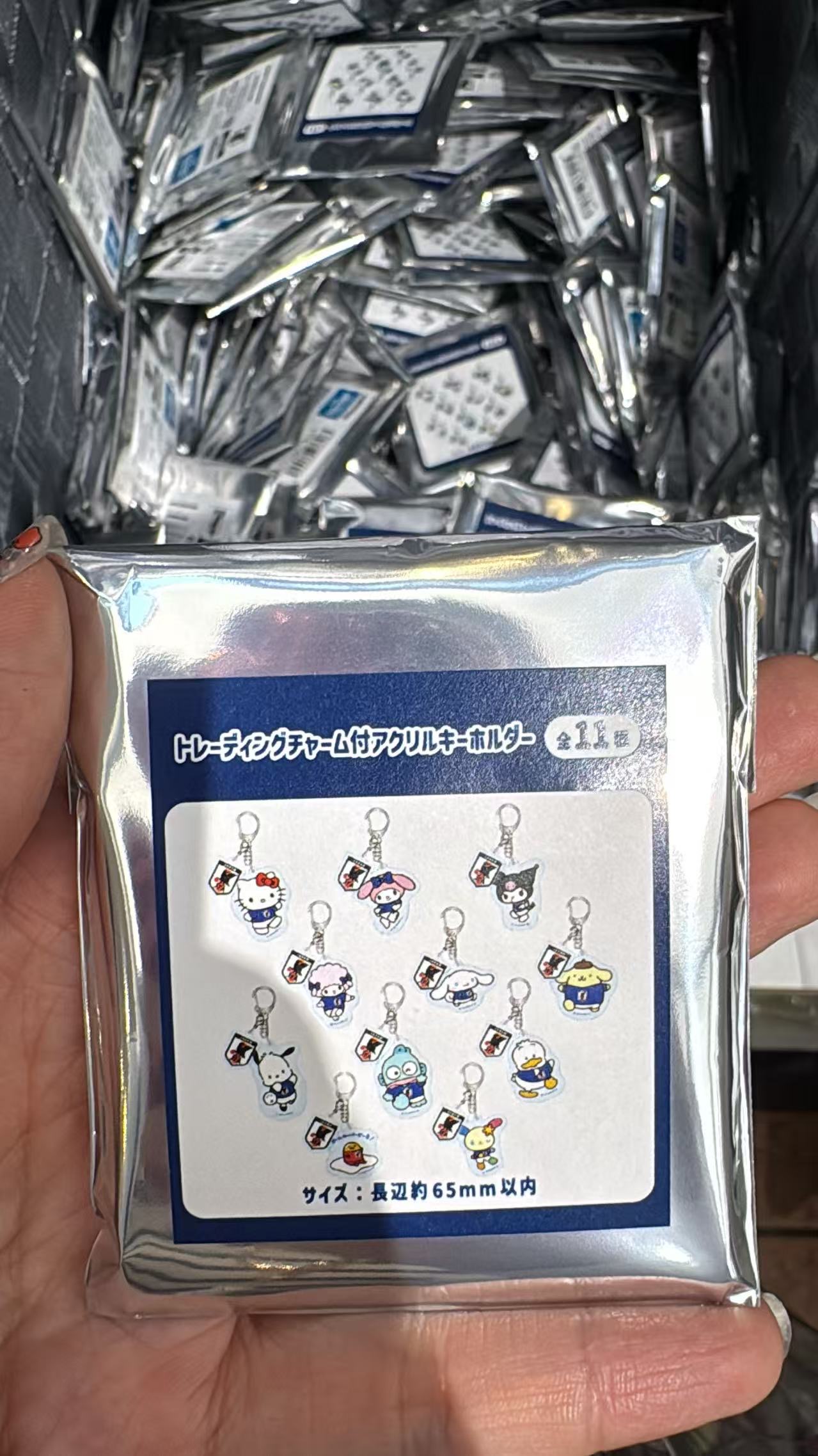 0619 5汇 三丽欧世界杯 盲袋钥匙扣 