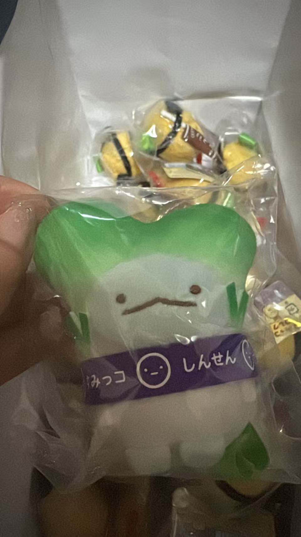 0620 5汇 角落生物水龙大葱 毛绒手玉