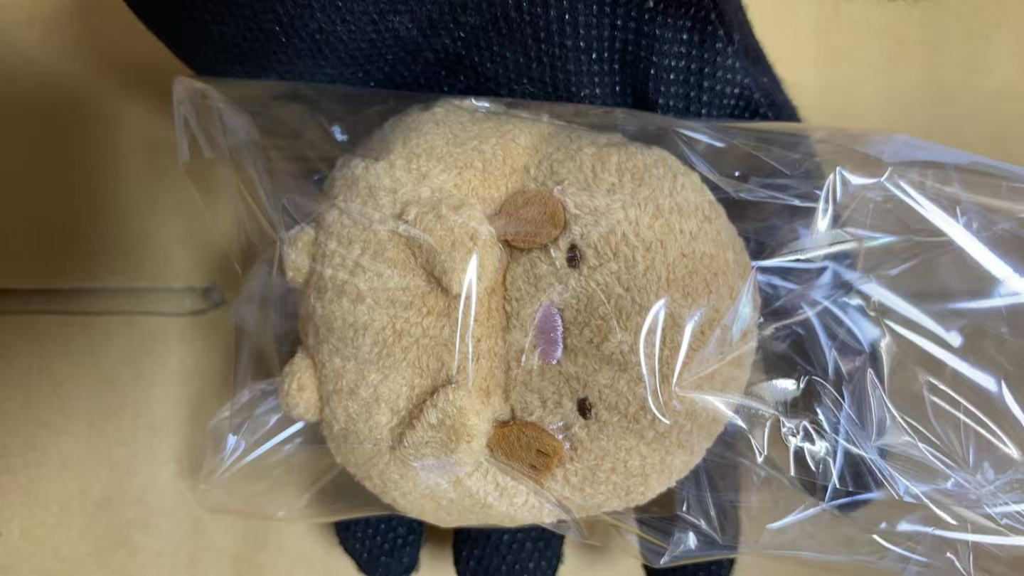 0626角落小伙伴 毛绒玩偶