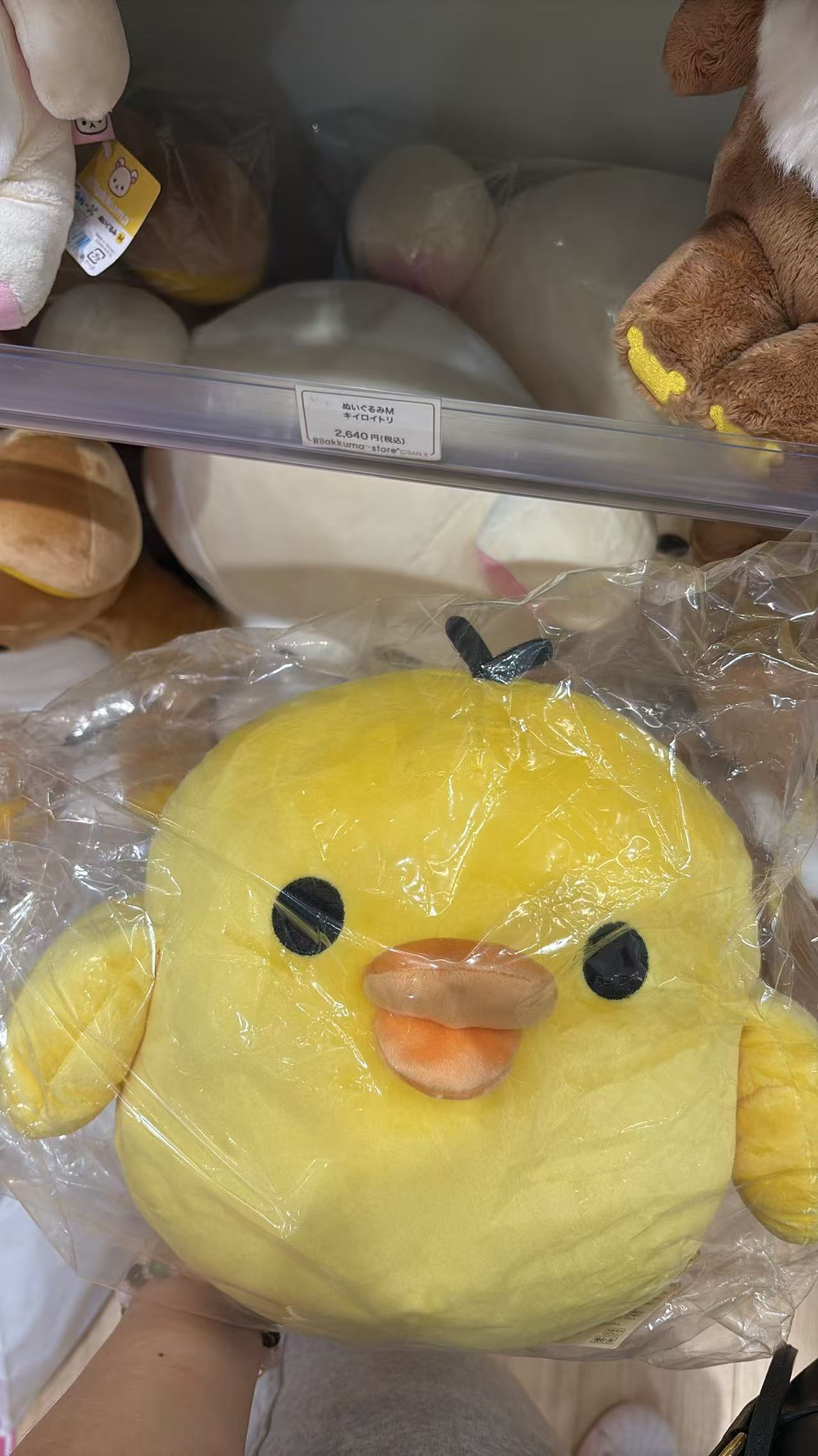 0722 48汇 轻松熊 毛绒玩偶