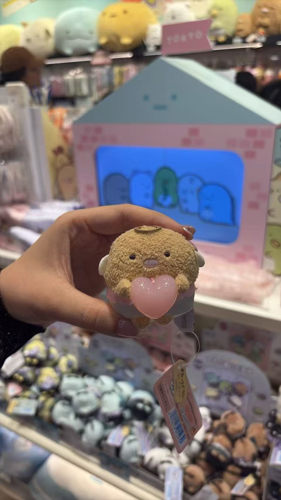 0728 48汇 角落生物 毛绒玩偶 猪排