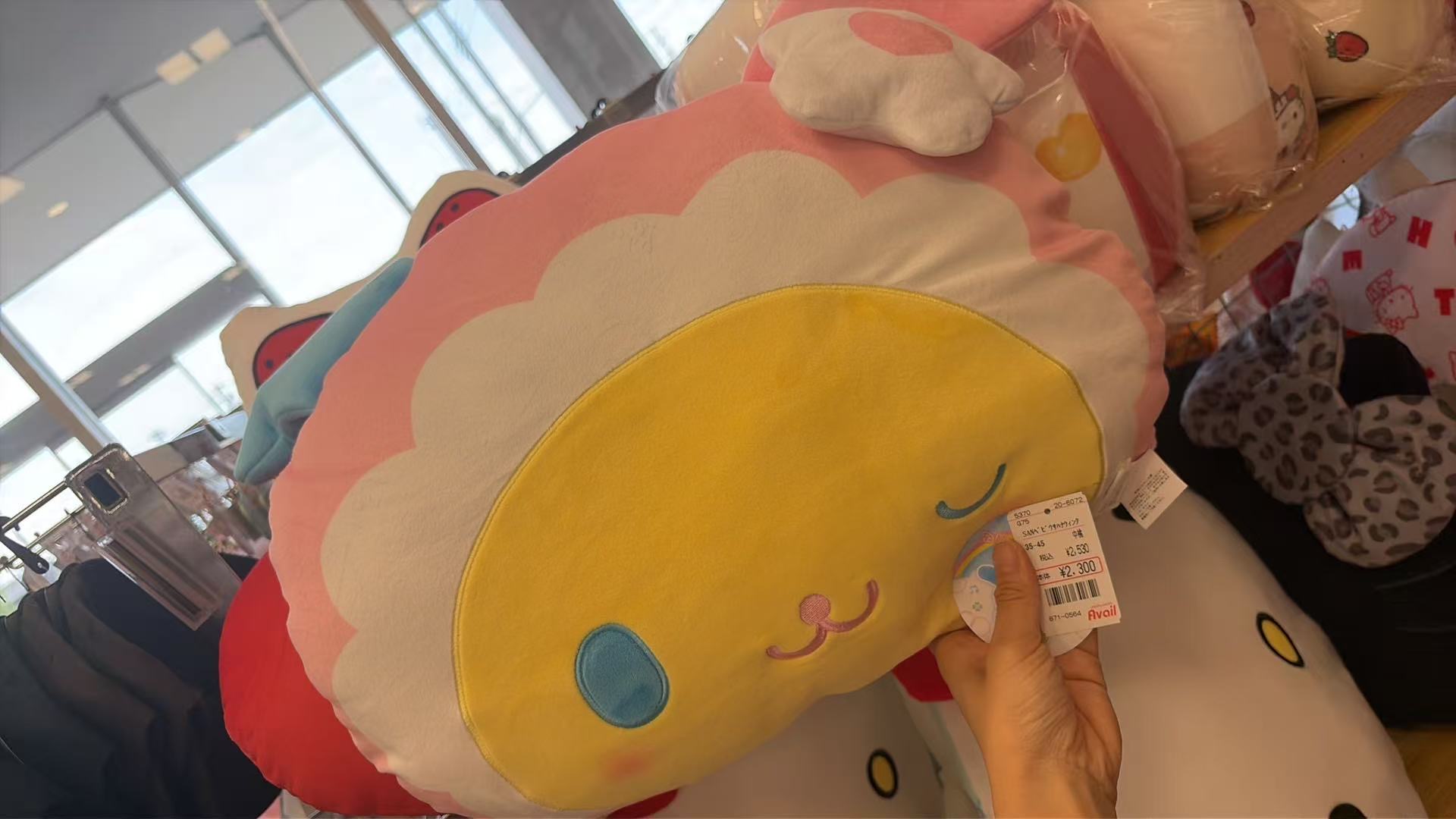 0801 三丽欧 抱枕