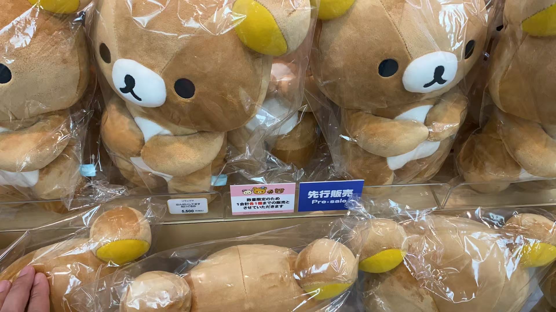 0827 48汇 轻松熊 毛绒玩偶 跪姿哥哥 