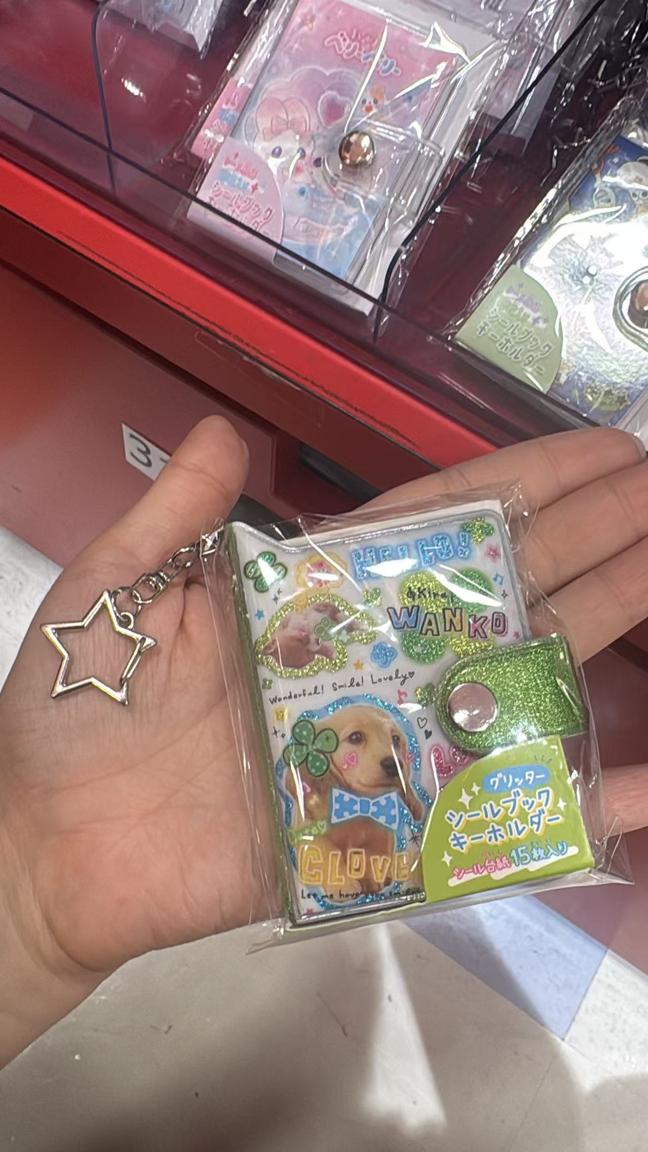 0829 半价 三丽欧 四叶草本子 