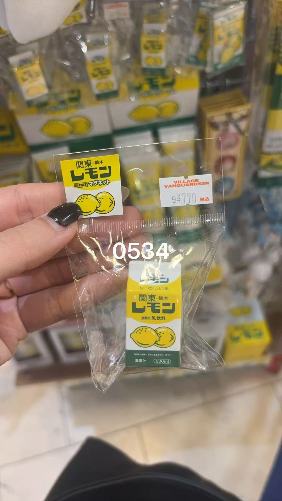 0917 日本枥木冰箱贴 