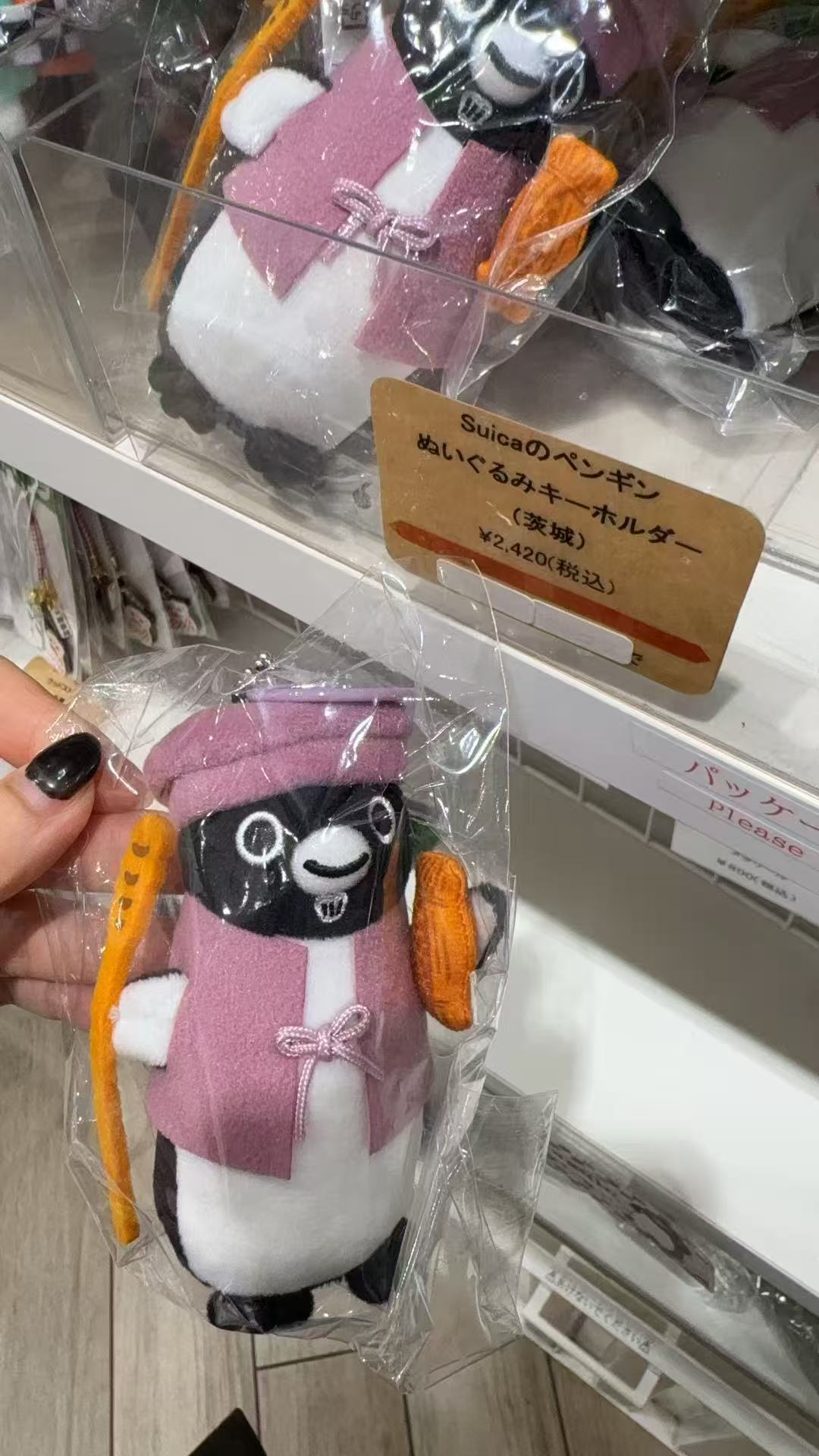 0925 48汇 Suica企鹅 紫色衣服 茨城 毛绒挂件 